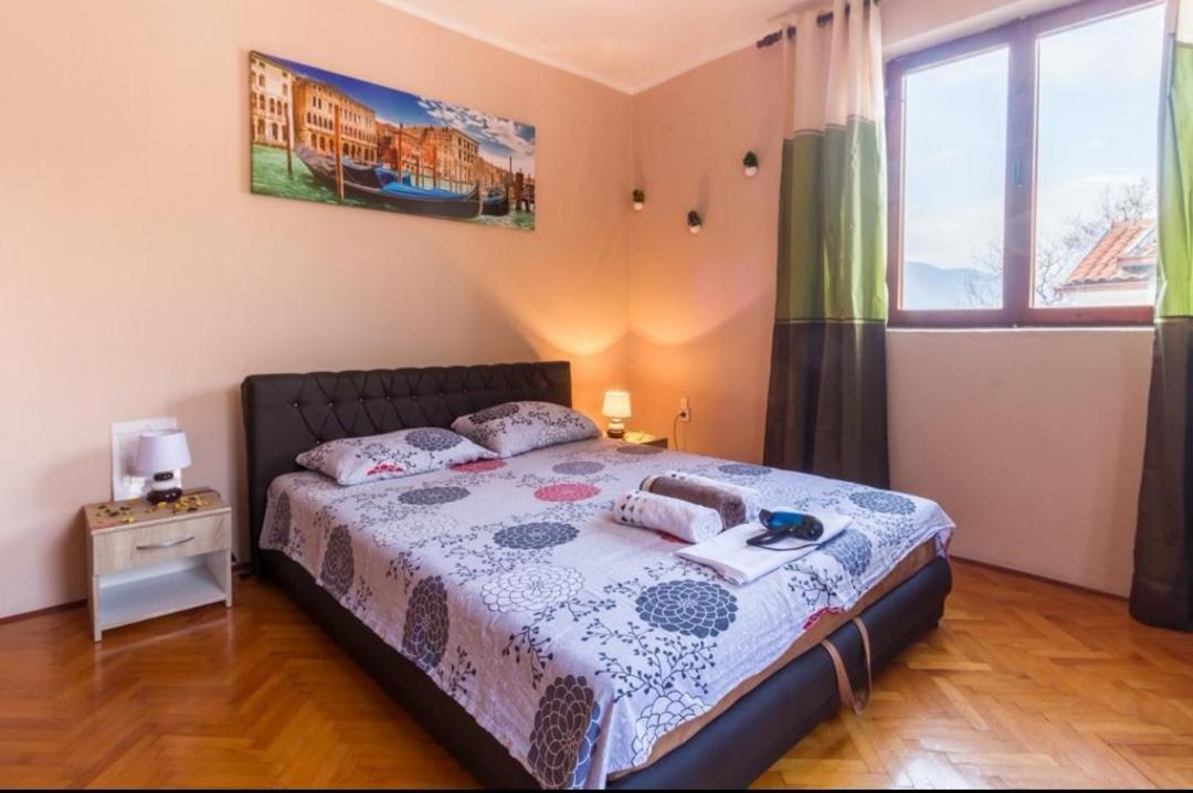 كوتور Alex Guesthouse المظهر الخارجي الصورة