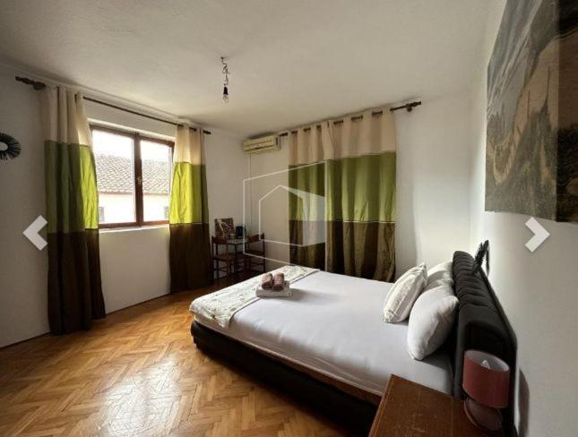 كوتور Alex Guesthouse المظهر الخارجي الصورة